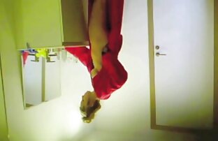 XXX Te agente publico xxx he satisfecho
